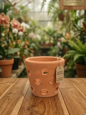 Vaso de Barro 10cm Clássico de terracota porosa para cultivo de orquídeas miniatura e suculentas