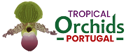 Tropical Orchids Portugal